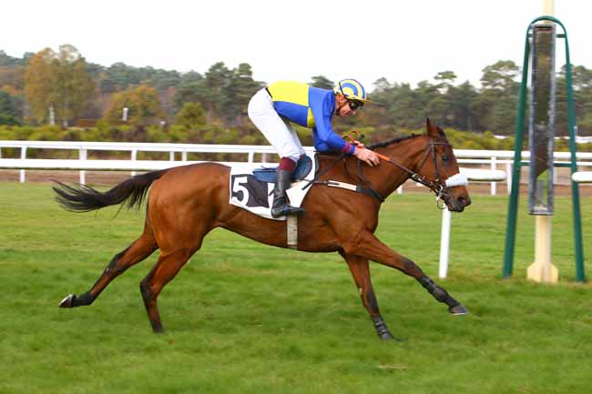 Photo d'arrivée de la course pmu PRIX DU DEBUCHER à FONTAINEBLEAU le Lundi 5 novembre 2018