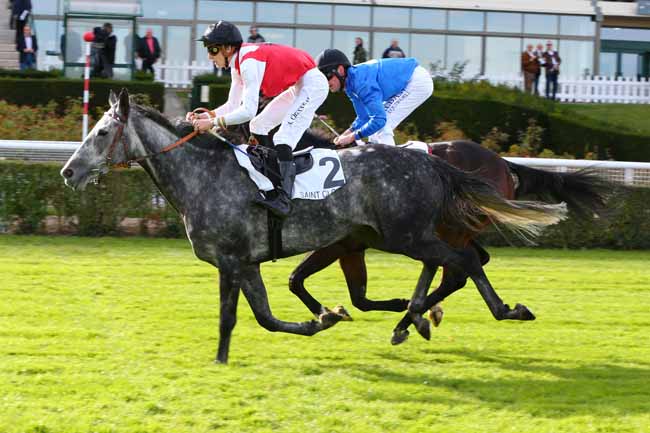 Photo d'arrivée de la course pmu PRIX DE LA FRETTE à SAINT-CLOUD le Mardi 6 novembre 2018