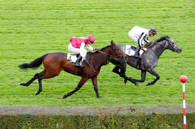 Photo d'arrivée de la course pmu PRIX ISOLA BELLA à SAINT-CLOUD le Mardi 6 novembre 2018