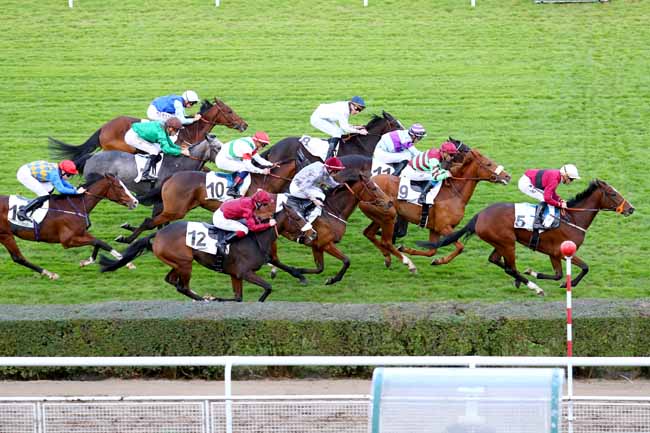 Photo d'arrivée de la course pmu PRIX SOLITUDE à SAINT-CLOUD le Mardi 6 novembre 2018