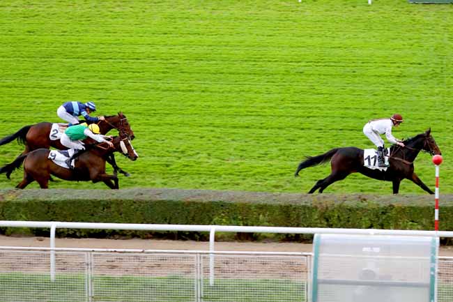 Photo d'arrivée de la course pmu PRIX DES HARAS à SAINT-CLOUD le Mardi 6 novembre 2018