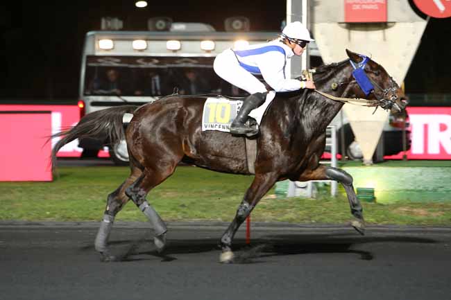Photo d'arrivée de la course pmu PRIX LACERTA à PARIS-VINCENNES le Mardi 6 novembre 2018