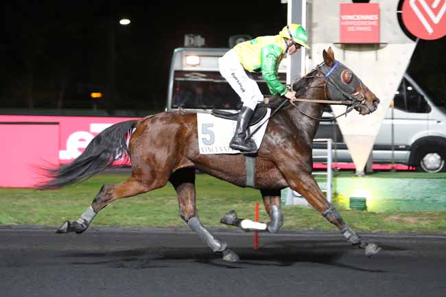 Photo d'arrivée de la course pmu PRIX OHIO à PARIS-VINCENNES le Mardi 6 novembre 2018