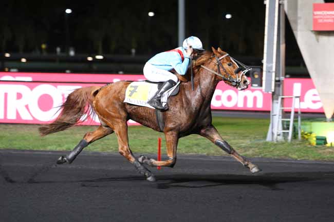 Photo d'arrivée de la course pmu PRIX MERAK à PARIS-VINCENNES le Mardi 6 novembre 2018