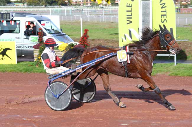 Photo d'arrivée de la course pmu GRAND NATIONAL DU TROT PARIS-TURF à NANTES le Mercredi 7 novembre 2018