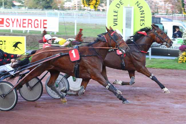 Photo d'arrivée de la course pmu PRIX WWW.HIPPODROME-NANTES.FR à NANTES le Mercredi 7 novembre 2018