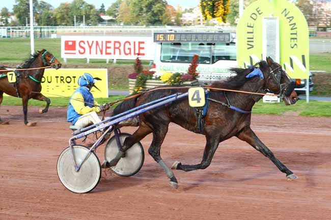 Photo d'arrivée de la course pmu PRIX FACEBOOK HIPPODROME DE NANTES à NANTES le Mercredi 7 novembre 2018