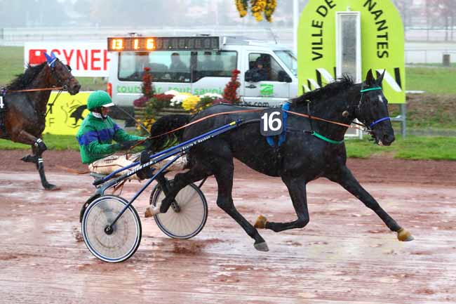 Photo d'arrivée de la course pmu GRAND PRIX DES 4 ANS (GR B) à NANTES le Mercredi 7 novembre 2018