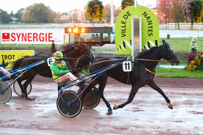 Photo d'arrivée de la course pmu GRAND PRIX DES 5 ANS à NANTES le Mercredi 7 novembre 2018