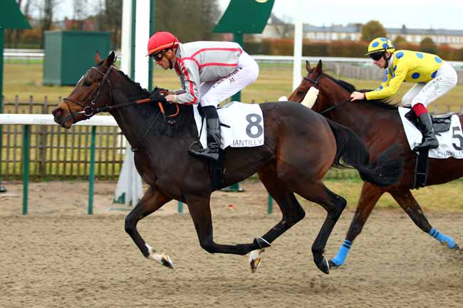 Photo d'arrivée de la course pmu PRIX DE LA CHAPELLE-SAINT-PIERRE à CHANTILLY le Mercredi 7 novembre 2018