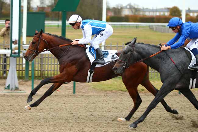 Photo d'arrivée de la course pmu PRIX QUATRIEME TETE à CHANTILLY le Mercredi 7 novembre 2018