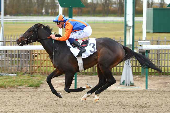 Photo d'arrivée de la course pmu PRIX DU PARC A MOUTONS à CHANTILLY le Mercredi 7 novembre 2018