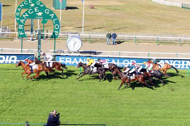 Photo d'arrivée de la course pmu PRIX DE LA TROUBLERIE à CHANTILLY le Jeudi 8 novembre 2018
