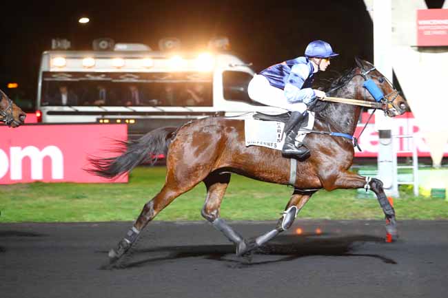 Photo d'arrivée de la course pmu PRIX MENKALINAN à PARIS-VINCENNES le Vendredi 9 novembre 2018
