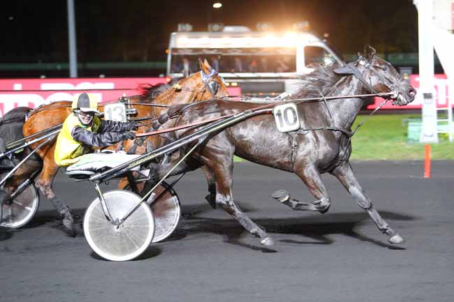 Photo d'arrivée de la course pmu PRIX PALATIA à PARIS-VINCENNES le Vendredi 9 novembre 2018