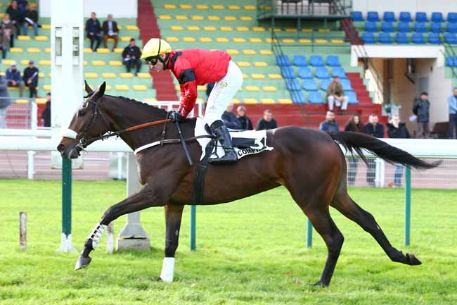 Photo d'arrivée de la course pmu PRIX DANIEL MERLE à COMPIEGNE le Vendredi 9 novembre 2018