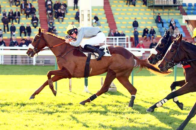 Photo d'arrivée de la course pmu PRIX PAULETTE ROLLAND à COMPIEGNE le Vendredi 9 novembre 2018