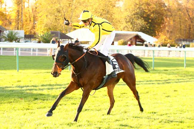 Photo d'arrivée de la course pmu GRAND STEEPLE-CHASE CROSS-COUNTRY DE COMPIEGNE à COMPIEGNE le Vendredi 9 novembre 2018
