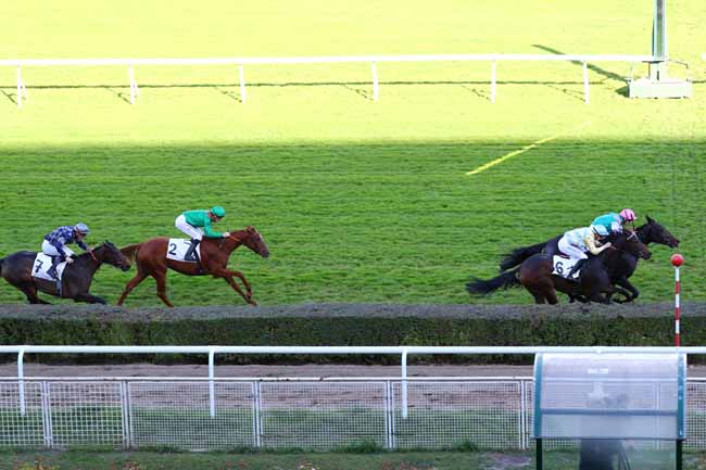 Photo d'arrivée de la course pmu PRIX DOUVE à SAINT-CLOUD le Vendredi 9 novembre 2018