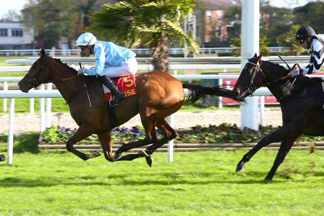 Photo d'arrivée de la course pmu CRITERIUM DU LANGUEDOC - PRIX BERNARD DE MARMIESSE à TOULOUSE le Samedi 10 novembre 2018