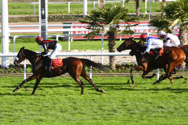 Photo d'arrivée de la course pmu PRIX DE LA VILLE DE TOULOUSE à TOULOUSE le Samedi 10 novembre 2018