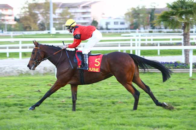 Photo d'arrivée de la course pmu PRIX VOLVO BOREAL AUTOMOBILES - GRAND NATIONAL DES ANGLO-ARABES A 12.5% à TOULOUSE le Samedi 10 novembre 2018