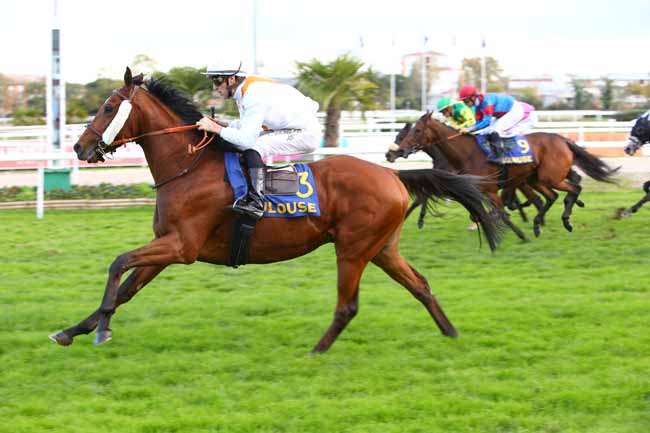 Photo d'arrivée de la course pmu PRIX DE LA REPUBLIQUE DU SENEGAL - PRIX DE SAINT-CYPRIEN à TOULOUSE le Samedi 10 novembre 2018