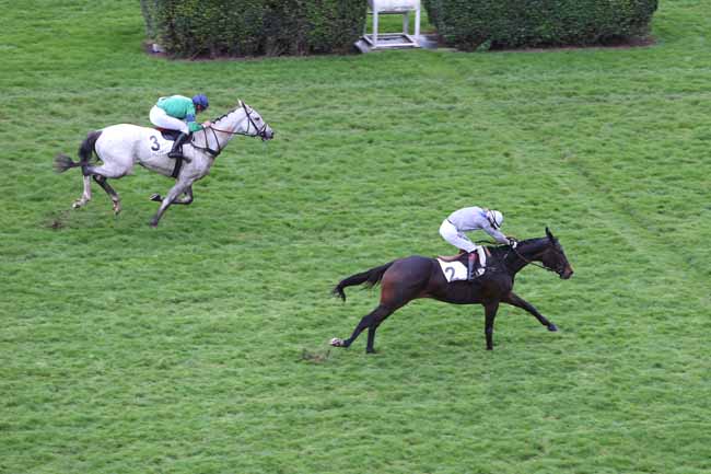 Photo d'arrivée de la course pmu STEEPLE-CHASE NATIONAL DES ANGLO-ARABES à AUTEUIL le Dimanche 11 novembre 2018