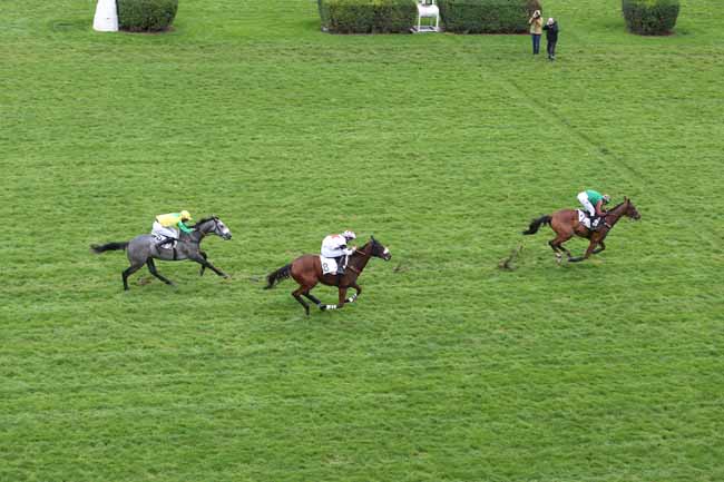 Photo d'arrivée de la course pmu PRIX DE BEAUGENCY à AUTEUIL le Dimanche 11 novembre 2018