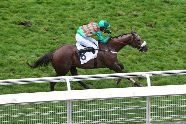 Photo d'arrivée de la course pmu PRIX RENAUD DU VIVIER à AUTEUIL le Dimanche 11 novembre 2018
