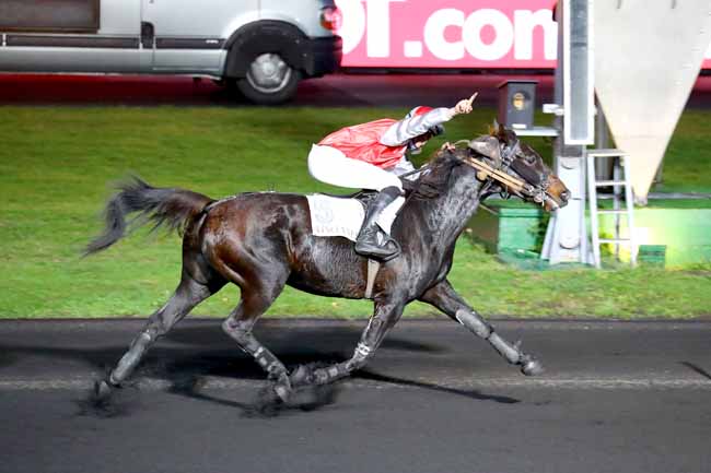 Photo d'arrivée de la course pmu PRIX D'HIESVILLE à PARIS-VINCENNES le Lundi 12 novembre 2018