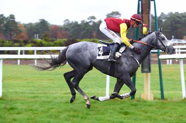 Photo d'arrivée de la course pmu PRIX ANDRE PAROT à FONTAINEBLEAU le Lundi 12 novembre 2018