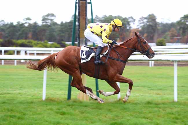 Photo d'arrivée de la course pmu PRIX DE LA ROUTE AMELIE à FONTAINEBLEAU le Lundi 12 novembre 2018