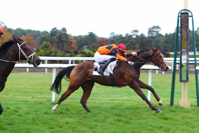 Photo d'arrivée de la course pmu PRIX HOTEL MERCURE - CHATEAU DE FONTAINEBLEAU à FONTAINEBLEAU le Lundi 12 novembre 2018