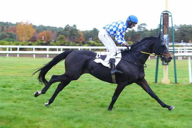 Photo d'arrivée de la course pmu PRIX PAIUTE à FONTAINEBLEAU le Lundi 12 novembre 2018