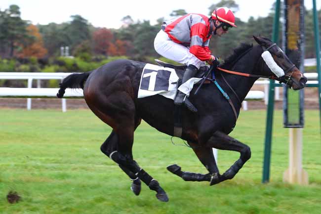 Photo d'arrivée de la course pmu PRIX COLONEL BEAUJEAN à FONTAINEBLEAU le Lundi 12 novembre 2018