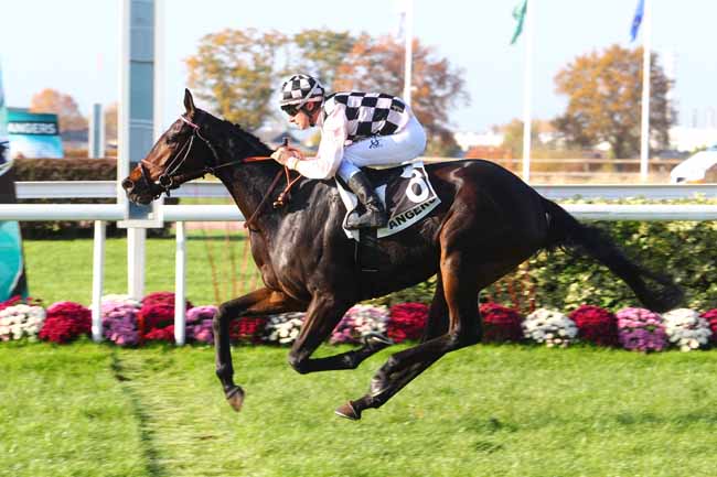 Photo d'arrivée de la course pmu PRIX DE BOUCHEMAINE à ANGERS le Mercredi 14 novembre 2018