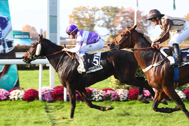 Photo d'arrivée de la course pmu PRIX CLAUDE MUNET - GRAND PRIX D'ANGERS à ANGERS le Mercredi 14 novembre 2018