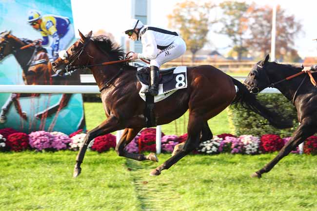 Photo d'arrivée de la course pmu PRIX PLANTAGENET à ANGERS le Mercredi 14 novembre 2018