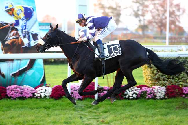 Photo d'arrivée de la course pmu PRIX DES JARDINS DU MAIL à ANGERS le Mercredi 14 novembre 2018