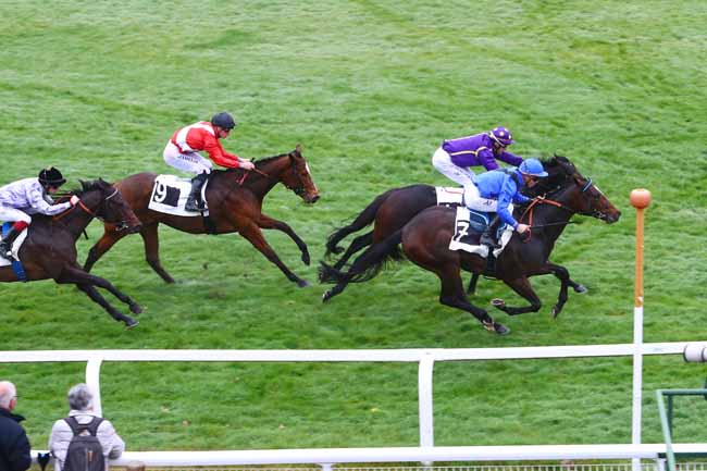 Photo d'arrivée de la course pmu PRIX DU CONSEIL DEPARTEMENTAL DE SEINE-ET-MARNE à FONTAINEBLEAU le Jeudi 15 novembre 2018