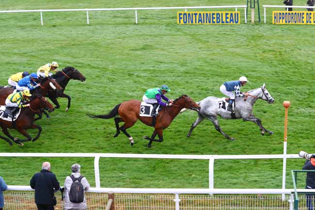 Photo d'arrivée de la course pmu PRIX CONTESSINA à FONTAINEBLEAU le Jeudi 15 novembre 2018