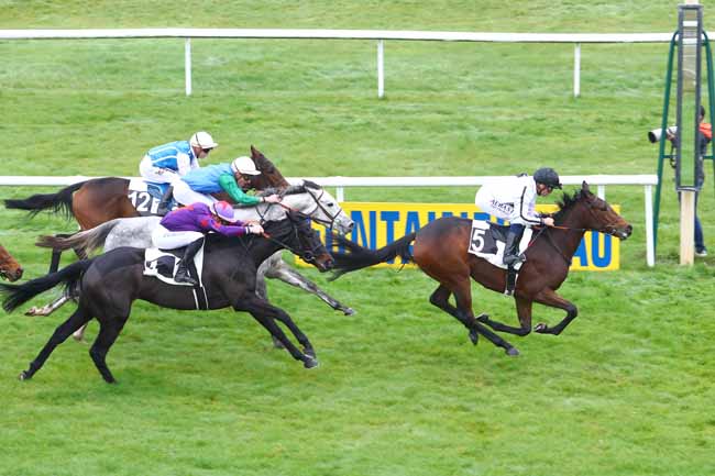 Photo d'arrivée de la course pmu PRIX DE LA TOUCHE AUX MULETS (PELOTON B) à FONTAINEBLEAU le Jeudi 15 novembre 2018