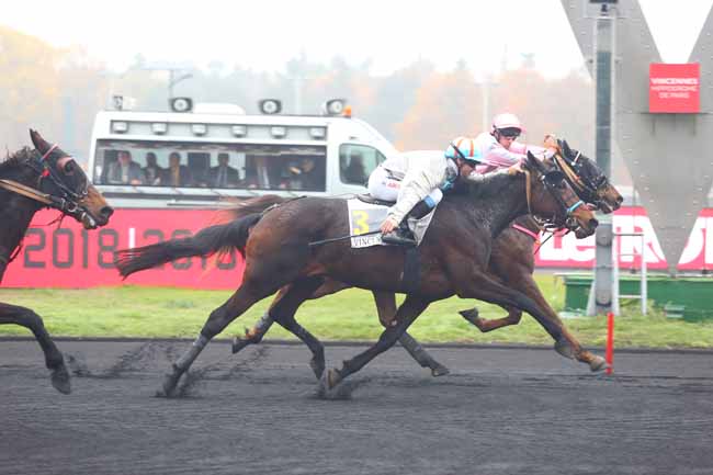Photo d'arrivée de la course pmu PRIX DU GRAND FOUGERAY à PARIS-VINCENNES le Jeudi 15 novembre 2018
