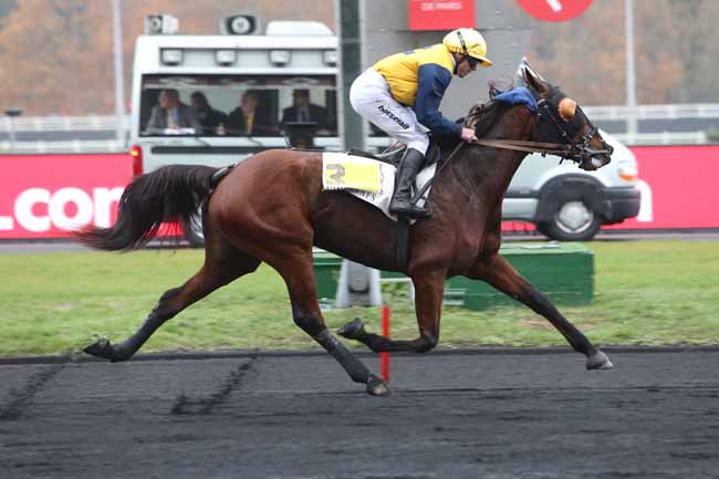 Photo d'arrivée de la course pmu PRIX DE MIRAMONT-DE-GUYENNE à PARIS-VINCENNES le Jeudi 15 novembre 2018