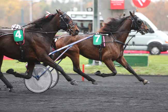 Photo d'arrivée de la course pmu PRIX D'ANNECY à PARIS-VINCENNES le Jeudi 15 novembre 2018