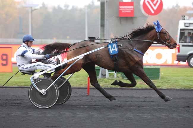 Photo d'arrivée de la course pmu PRIX DE BELFORT à PARIS-VINCENNES le Jeudi 15 novembre 2018