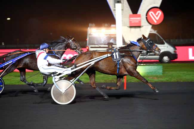 Photo d'arrivée de la course pmu PRIX MIZAR à PARIS-VINCENNES le Vendredi 16 novembre 2018
