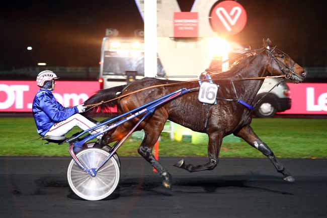 Photo d'arrivée de la course pmu PRIX CIRCINUS à PARIS-VINCENNES le Vendredi 16 novembre 2018