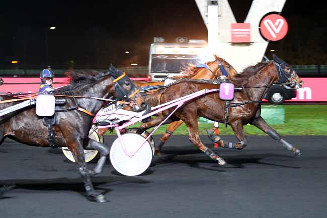 Photo d'arrivée de la course pmu PRIX SIWA (GR B) à PARIS-VINCENNES le Vendredi 16 novembre 2018